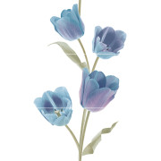 Tulips Frios Панно (из 3-х плиток) 50х75 Keros