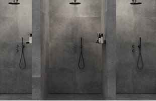 Betonica graphito pro