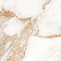 Calacatta Oro Керамогранит золотой 60x60 полированный Laparet