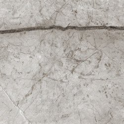 Obsidian Moss Gray Керамогранит 60х60 матовый Laparet