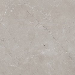Vitrum Grigio Керамогранит серый 60x60 полированный Laparet