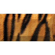 Africa Бордюр рельефный br1020D210-1 20х10 Ceramica Classic
