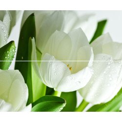 Arco Verde Tulipan Панно (из 2-х пл.) 50x60 Polcolorit