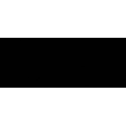 Chamonix Negro Плитка настенная 20х50 Ceradim