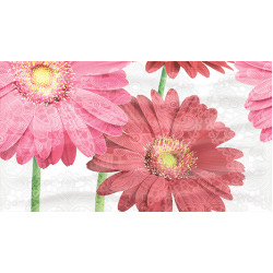 Dec Gerbera Panno A КПН16GerberaA 25х45 Ceradim