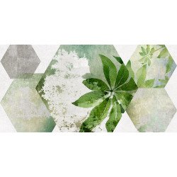 Focus Плитка настенная зелёный ботаника 34090 25х50 Laparet