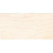 Frame Плитка настенная бежевый 08-00-11-1368 20х40