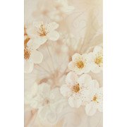 Сакура корич 04 Декор 25х40