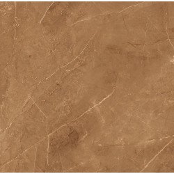 Elegant Armani Gold Керамогранит 60х60 Полированный