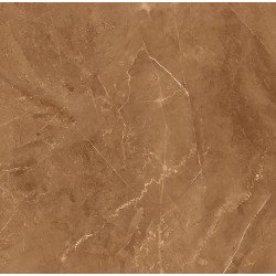 Elegant Armani Gold Керамогранит 60х60 Полированный