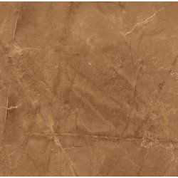 Elegant Armani Gold Керамогранит 60х60 Полированный