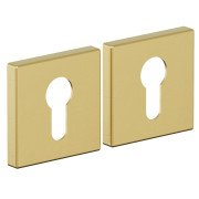 Для межкомнатных дверей накладки AS-3CL SGold