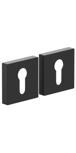 Для межкомнатных дверей накладки AS-6CL SBlack