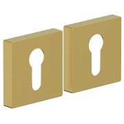 Для межкомнатных дверей накладки AS-6CL SGold