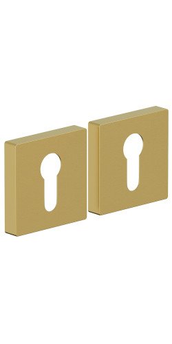 Для межкомнатных дверей накладки AS-6CL SGold