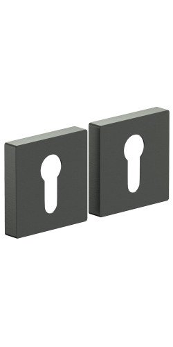 Для межкомнатных дверей накладки AS-6CL SGraphite