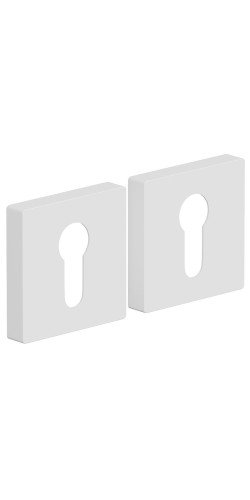 Для межкомнатных дверей накладки AS-6CL SWhite