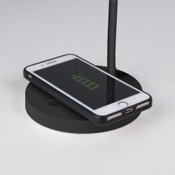 Настольная лампа Elektrostandard Tiara TL90560 черный a048743