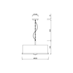 Подвесная люстра Vele Luce Camellia VL4203P26