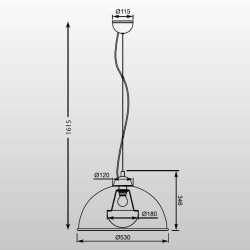 Подвесная люстра Zumaline Antenne TS-071003P-BKGO