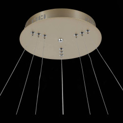 Подвесная светодиодная люстра ST Luce Erto SL904.203.03