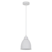 Подвесной светильник Arte Lamp Braccio A2054SP-1WH