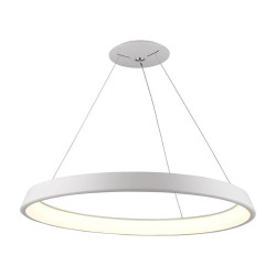 Подвесной светодиодный светильник Arte Lamp A6280SP-1WH