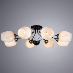 Потолочная люстра Arte Lamp Brighton A2706PL-8CK