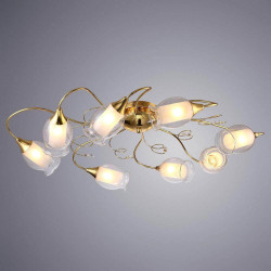 Потолочная люстра Arte Lamp Mughetto A9289PL-8GO