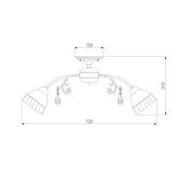 Потолочная люстра Eurosvet Camilla 30156/8