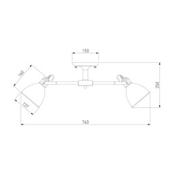 Потолочная люстра Eurosvet Denley 70112/8 черный