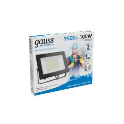 Прожектор светодиодный Gauss 100W 613100100