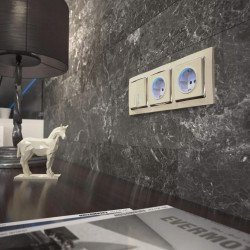 Розетка с заземлением с подветкой Werkel слоновая кость W1171403 4690389171673