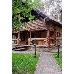 Уличный светильник Chiaro Шато 800040203